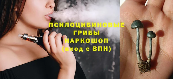 первитин Горнозаводск