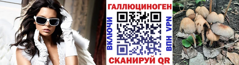 Псилоцибиновые грибы Psilocybine cubensis  Пролетарск 